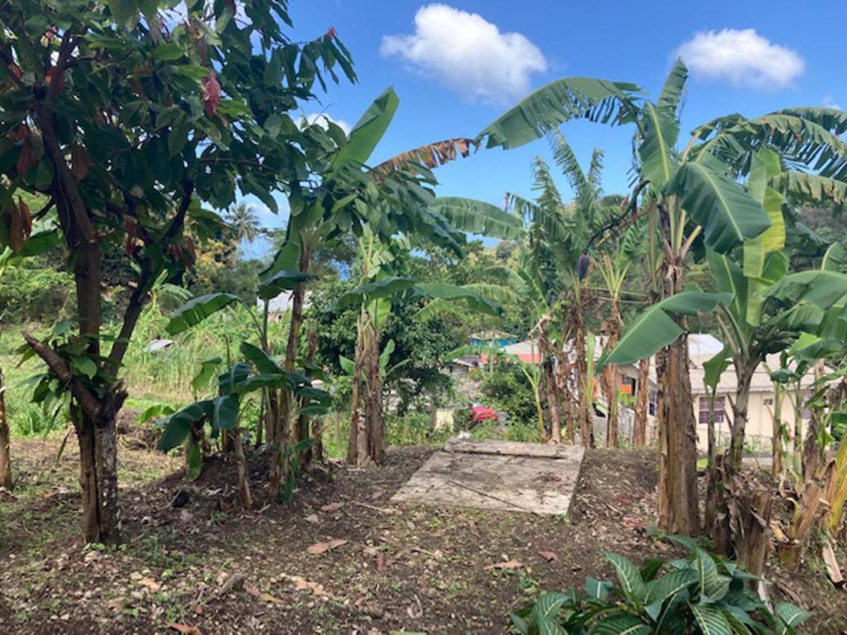 Stunning 2-Bed Apartment In Grand Roy Grenada Mount Nesbit Esterno foto