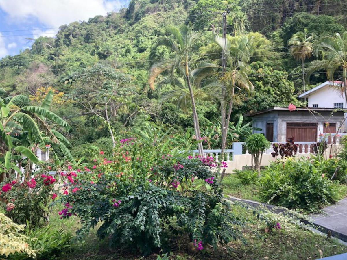 Stunning 2-Bed Apartment In Grand Roy Grenada Mount Nesbit Esterno foto